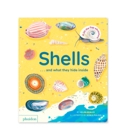 SHELLS... AND WHAT THEY HIDE INSIDE