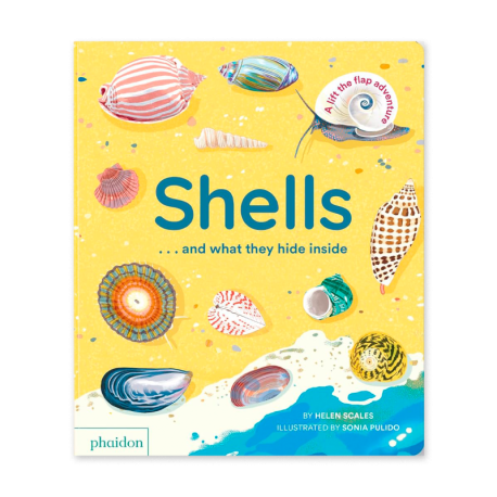 SHELLS... AND WHAT THEY HIDE INSIDE