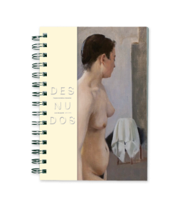 NOTEBOOK DESNUDO