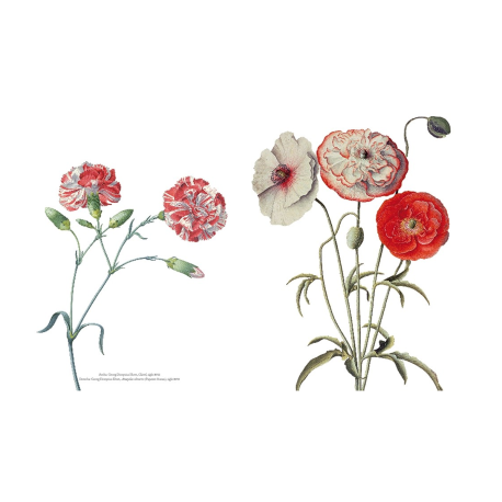 Flores en el arte