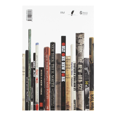 Nueva York en foto libros