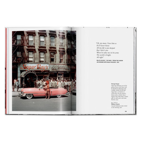 New York. Portraid of a city