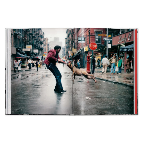 New York. Portraid of a city