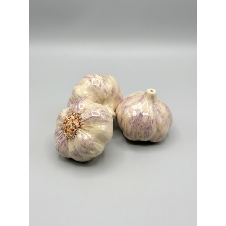 Ajo cerámica artesanal