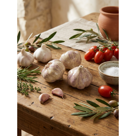 Ajo cerámica artesanal